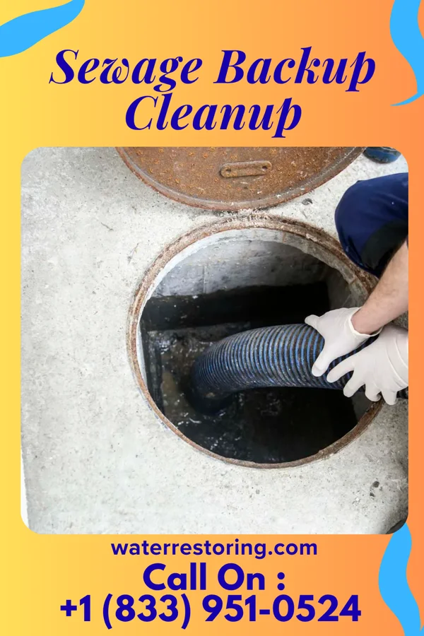Sewage Backup Cleanup in Nixburg, AL